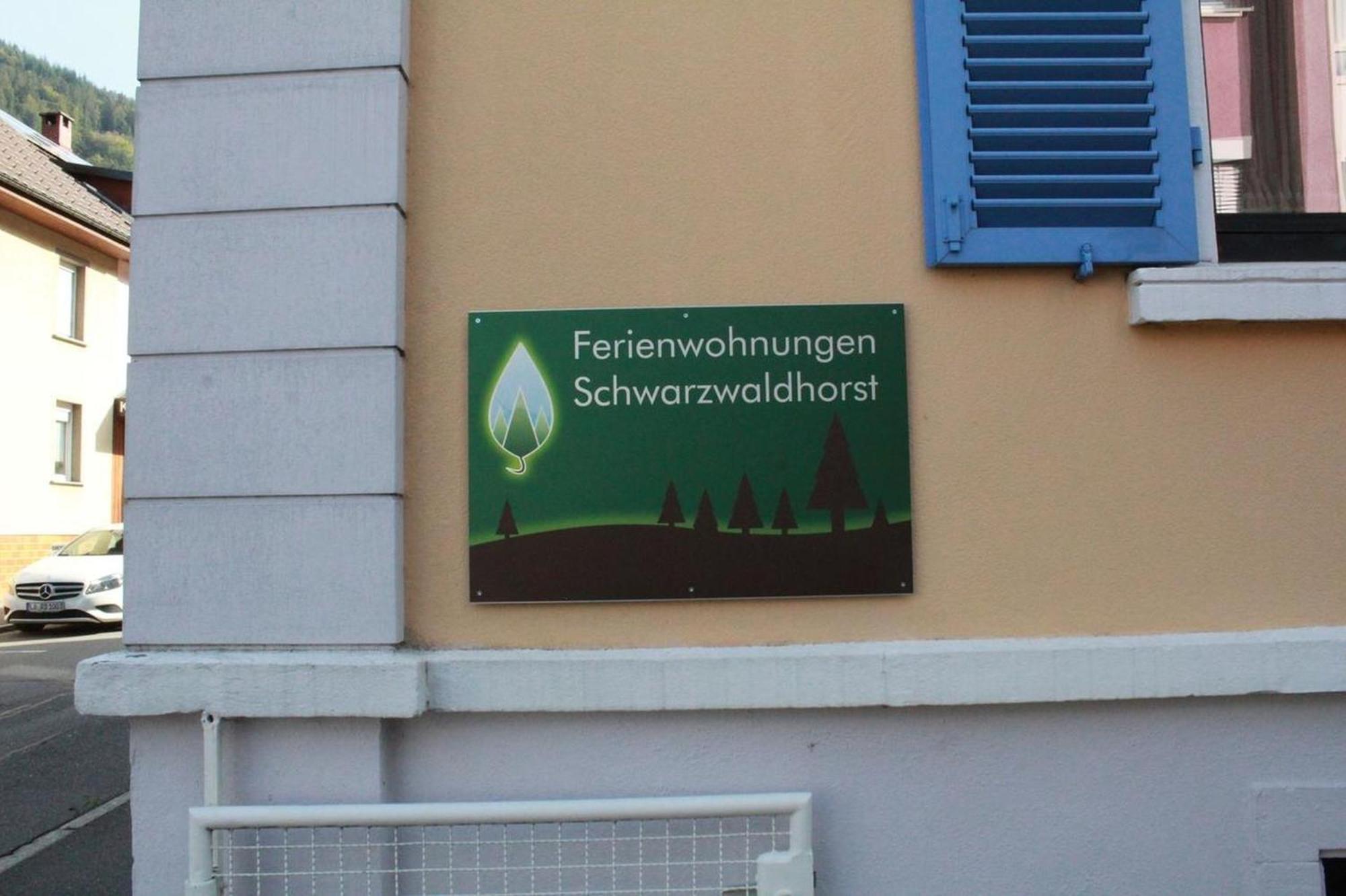 Schwarzwaldhorst Fewo 2 - Mit 4 Schlafzimmer - Todtnau, Liftverbund Feldberg Dış mekan fotoğraf