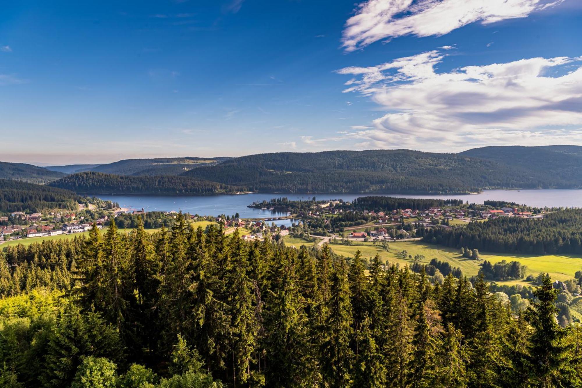 Schwarzwaldhorst Fewo 2 - Mit 4 Schlafzimmer - Todtnau, Liftverbund Feldberg Dış mekan fotoğraf