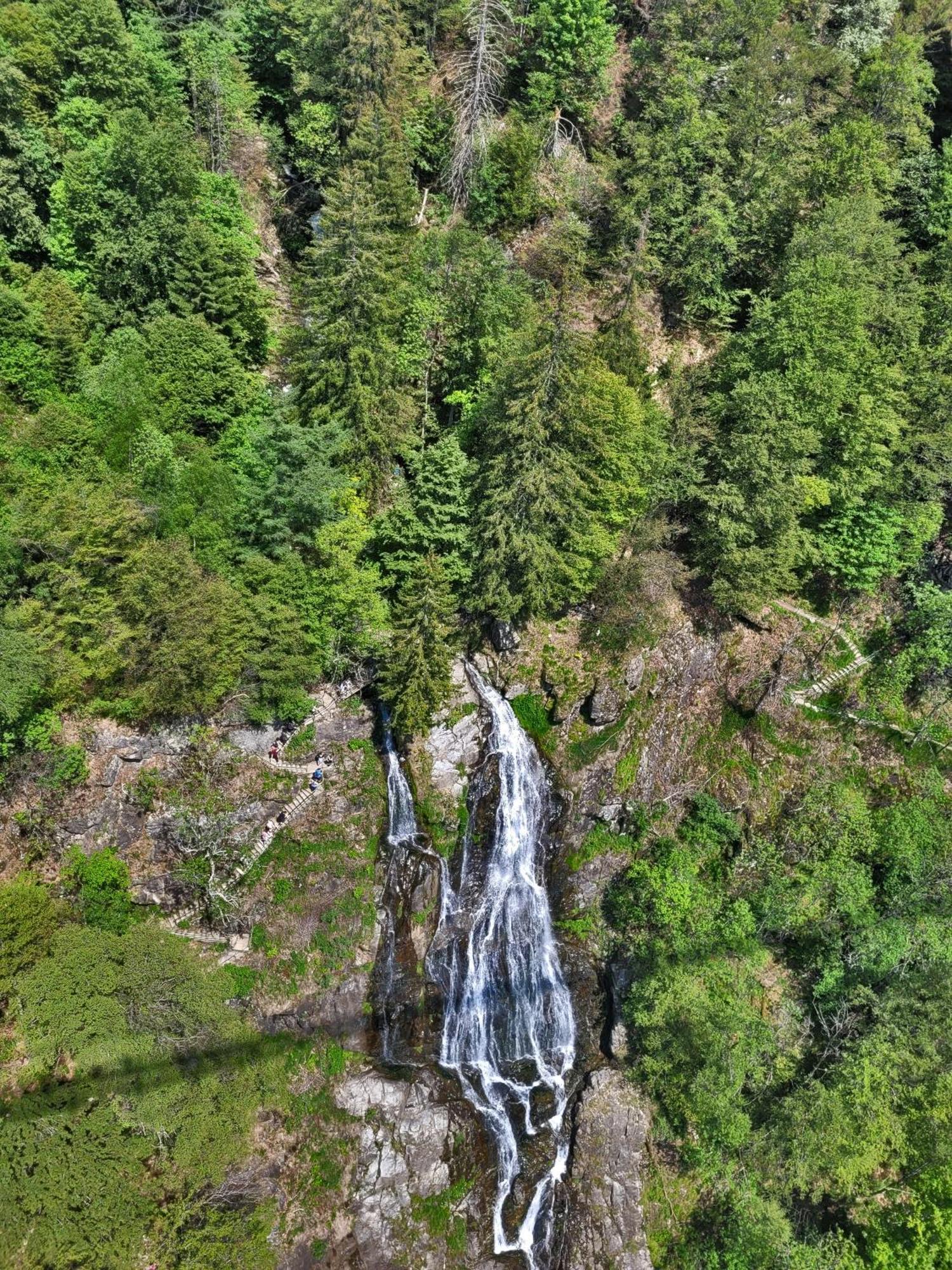 Schwarzwaldhorst Fewo 2 - Mit 4 Schlafzimmer - Todtnau, Liftverbund Feldberg Dış mekan fotoğraf