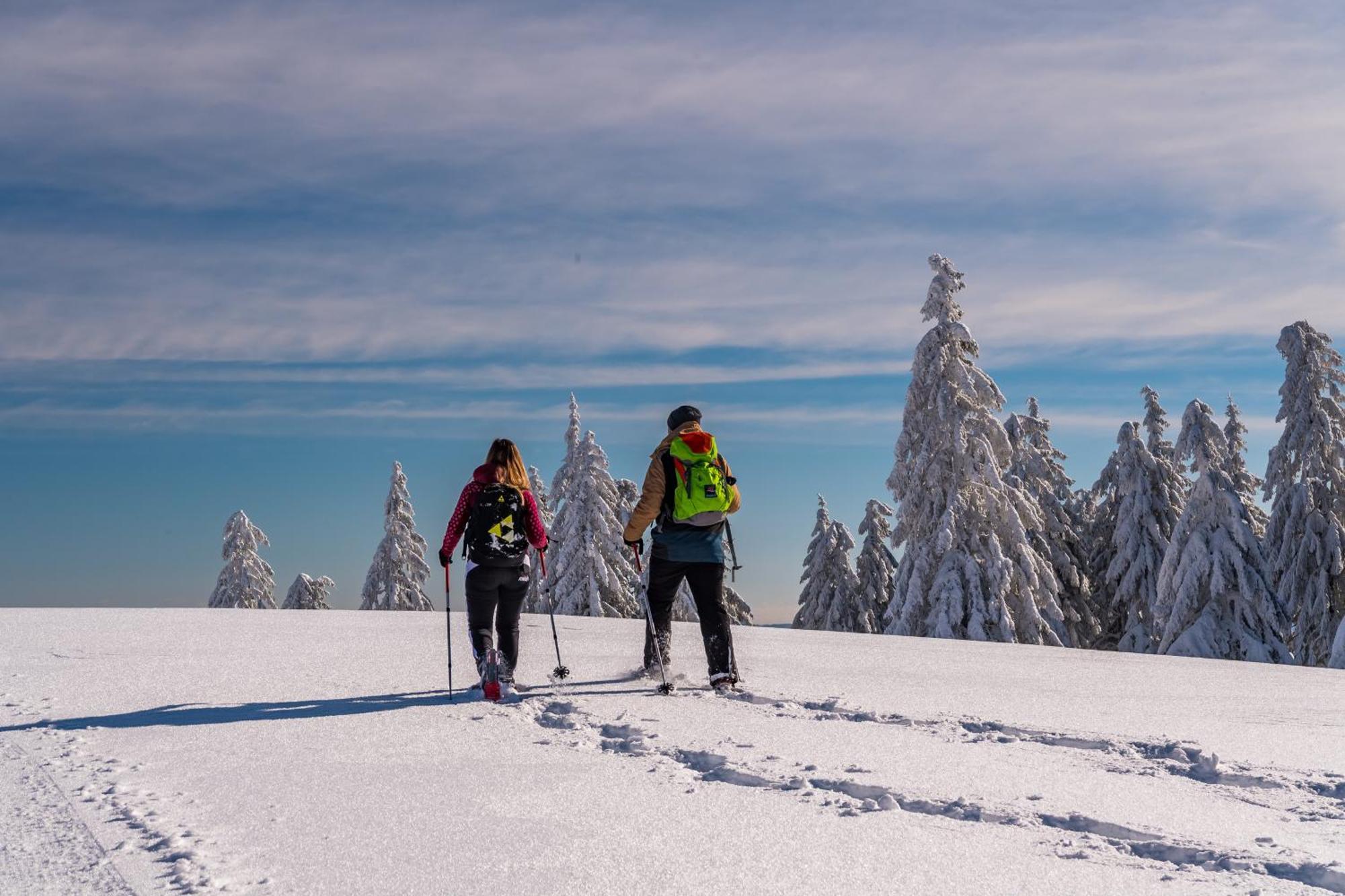 Schwarzwaldhorst Fewo 2 - Mit 4 Schlafzimmer - Todtnau, Liftverbund Feldberg Dış mekan fotoğraf